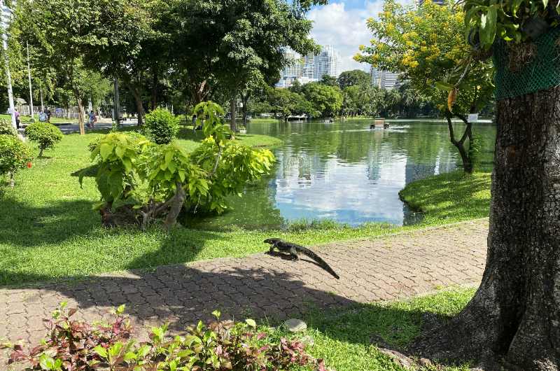 Parque Lumpini de Bangkok en un día de agosto