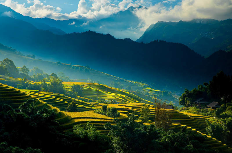 Arrozales en terrazas en Sapa con paisaje de montaña