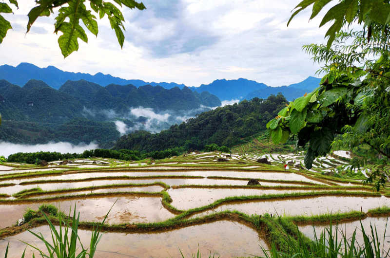 Terrazas de arroz inundadas en Pu Luong con vistas al valle