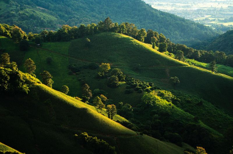Montañas verdes del norte de Tailandia durante julio con sol y nubes
