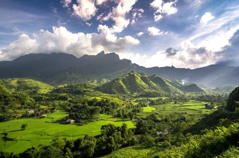Valle con arrozales verdes, árboles y montañas durante el verano en Vietnam