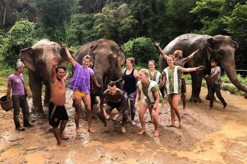 Baño de barro con elefantes en Elephant Jungle Sanctuary
