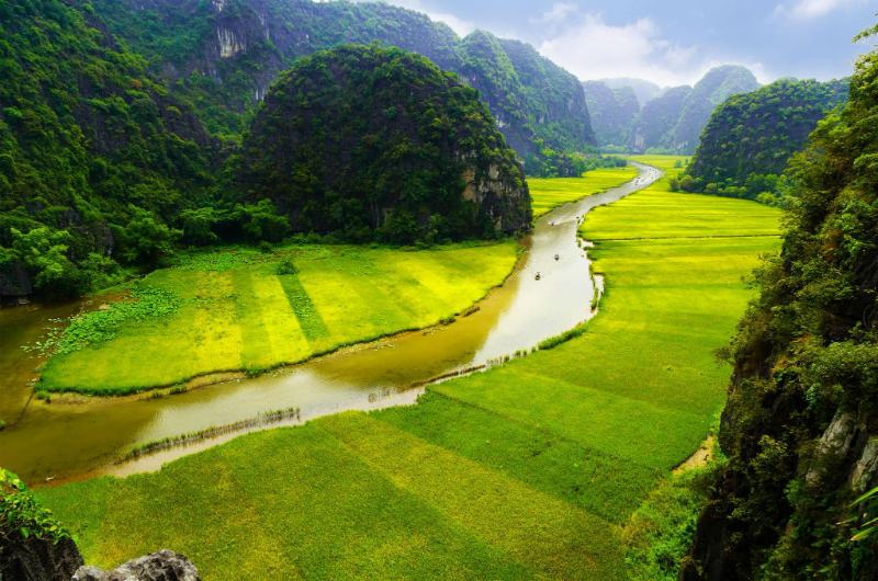 Vista de Tam Coc con el río rodeado de arrozales verdes durante el mes de mayo en Vietnam.