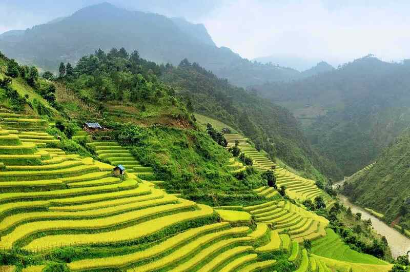 Terrazas de arroz en Sapa, en el norte de Vietnam