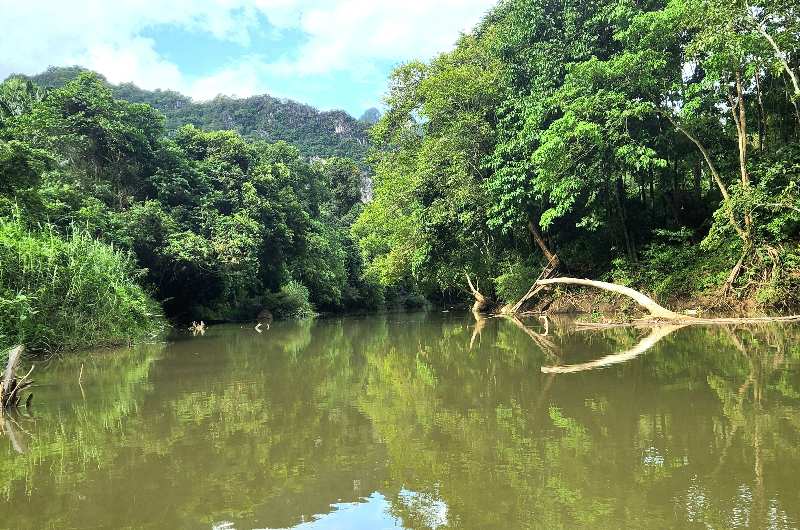 Río Sok rodeado de selva tropical