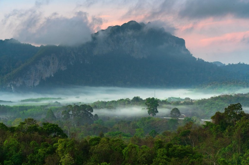Selva tropical de Khao Sok con montañas y niebla al fondo