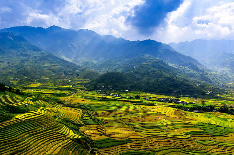 Arrozales en Mu Can Chai Vietnam
