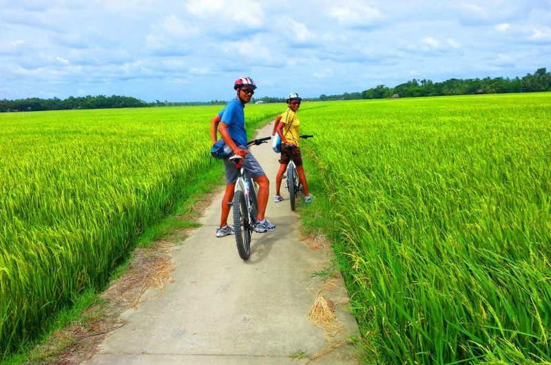 personas en bicicleta entre arrozales