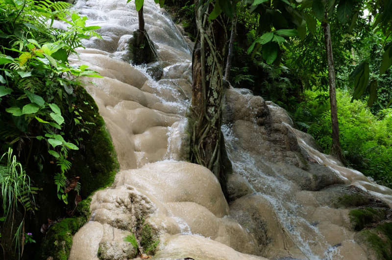 Cascada Bua Thong en Chiang Mai