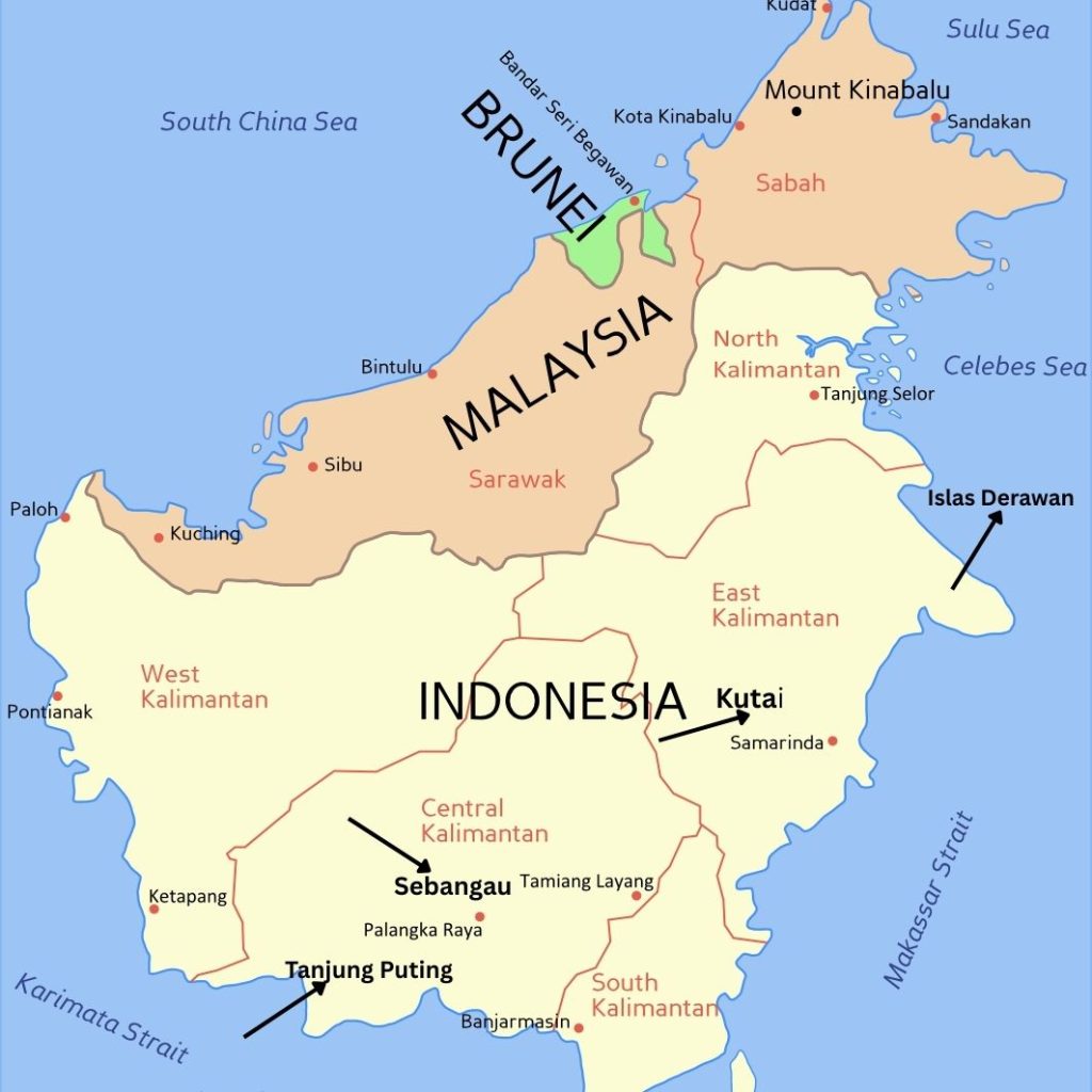 Mapa de Borneo con las principales regiones de la parte de Indonesia