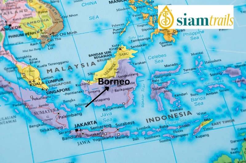 La isla de Borneo está situada en el centro de Indonesia con Malasia al oeste y la isla de Sulawesi al este, separadas por el estrecho de Makassar