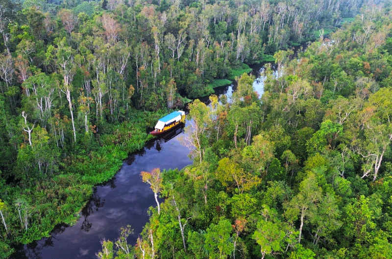 Selva tropical y río en el Parque Nacional Tanjung Puting, en Borneo Indonesia