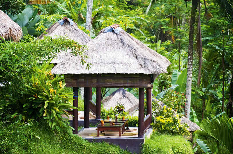 Experiencias culturales y bienestar en Ubud, actividades tranquilas en contacto con la naturaleza