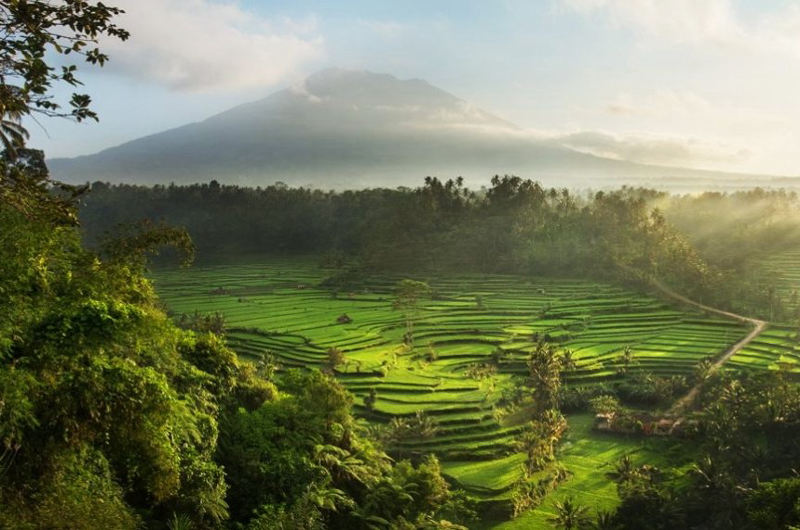 terrazas de arroz en Sidemen con el monte Agung al fondo y paisaje rural