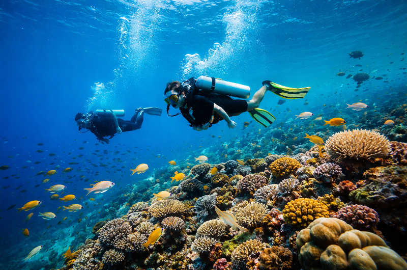 Buceadores explorando un arrecife de coral en las aguas de Krabi, en el mar de Andamán