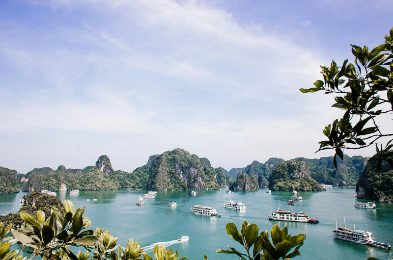 Juncos navegando entre islotes de piedra caliza en la bahía de Halong en Vietnam