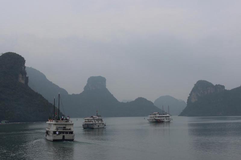 Bahía de Halong con niebla en invierno