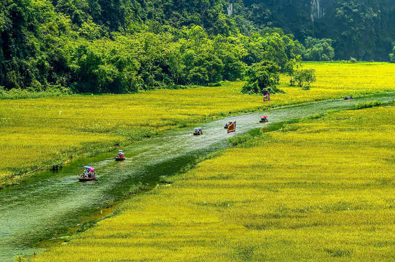 Barcas tradicionales navegando por el río Ngo Dong en Tam Coc Ninh Binh Vietnam