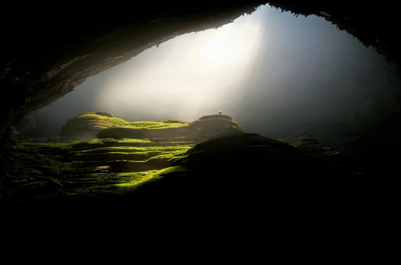 Bosque dentro de Hang Son Doong en Vietnam