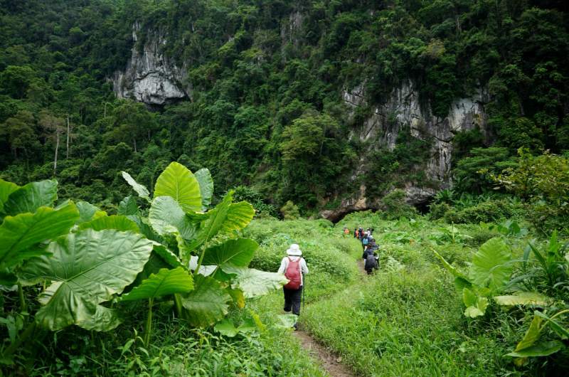 sendero de trekking sencillo en la selva de Phong Nha Ke Bang