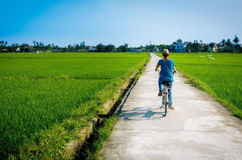 Ciclista recorriendo los arrozales de Hoi An bajo un día soleado