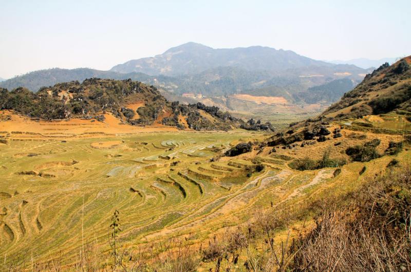 Terrazas de arroz sin cultivar en Sapa