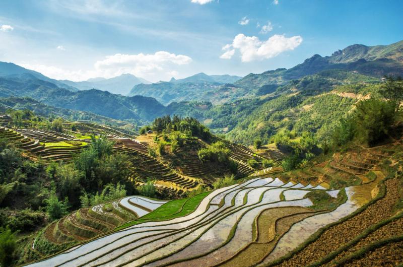 Terrazas de arroz de Sapa inundadas con los primeros brotes de arroz en marzo