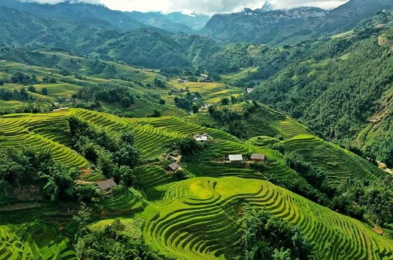 Arrozales en terrazas de Sapa completamente verdes durante el mes de junio en el norte de Vietnam.