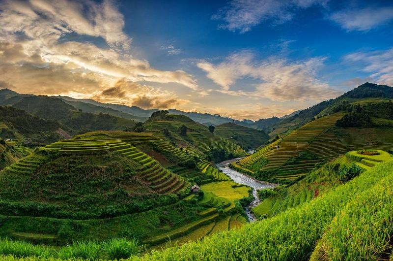 Arrozales en terrazas de Mu Cang Chai durante la temporada verde en el norte de Vietnam.