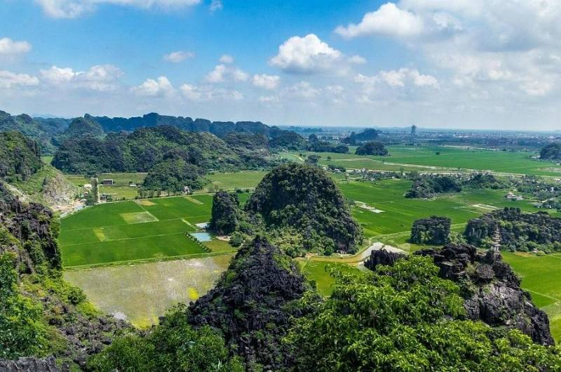 Vista desde Hang Múa en abril con arrozales verdes y montañas de piedra caliza en Ninh Binh