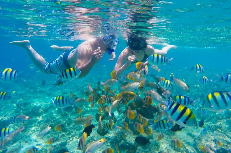 Personas practicando snorkel en aguas cristalinas durante agosto